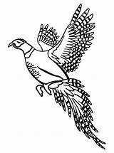 Pheasant Coloring Pages For Kids sketch template
