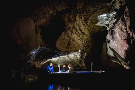 Te Anau: Glowworm Caves Guided Tour | GetYourGuide