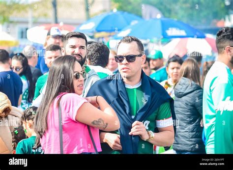 SC - Florianopolis - 06/26/2022 - BRAZILIAN A 2022 - AVAI X PALMEIRAS - Palmeiras fans during a ...