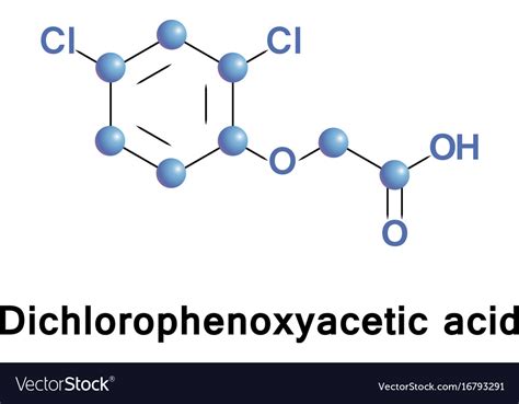 Dichlorophenoxyacetic acid herbicide Royalty Free Vector