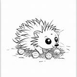 Coloring pages hedgehogs Free Printable hedgehog coloring For  sketch template