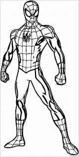Spiderman Printable Coloring sketch template