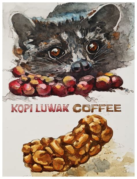 Kopi Luwak Coffee :: Behance