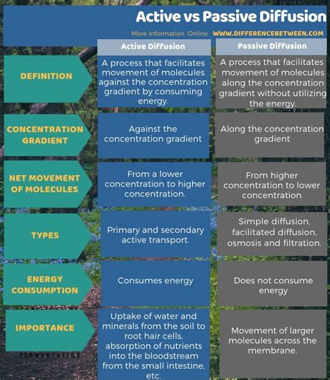 Difference Between Active and Passive Diffusion | Compare the Difference Between Similar Terms