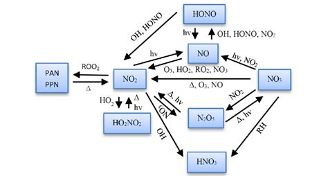 Illustration of the interaction between the various nitrogen oxide... | Download Scientific Diagram