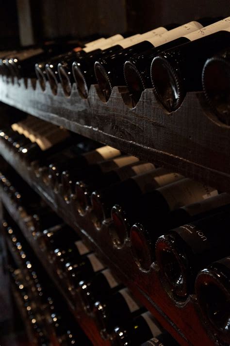 Cellar With Wine Bottles · Free Stock Photo