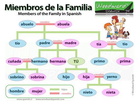 Family Members in Spanish – La Familia | Woodward Spanish