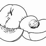 Peaches Coloring Pages Printable For Free Download sketch template