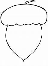 Acorn Coloring Pages  Best For Kids sketch template