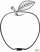 Apple Coloring Sheet Free Printable sketch template