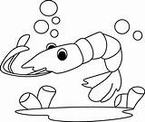 Fish Hooks Coloring Pages sketch template