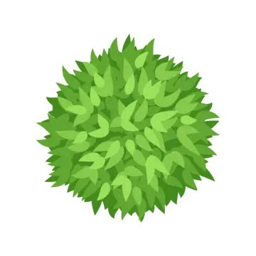 Top View Tree Layout Element Vector, Top View, Tree, Element PNG and Vector with Transparent ...