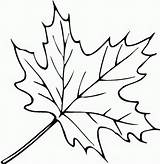Coloring Pages Of Leaves In The Fall sketch template