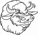 Free Buffalo And Bison Coloring Pages sketch template