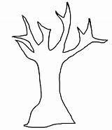 Online coloring Pages Coloring Page Tree bark Download Print  sketch template