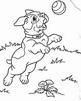 Free Printable Puppies Coloring Pages For Kids sketch template
