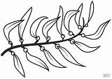 Seaweed Drawing Kelp Cartoon Coloring Pages Forest Istockphoto Rocks  sketch template
