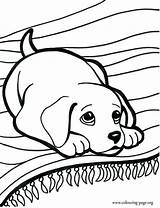Wiener Dog Coloring Pages At GetColoringscom  Free Printable sketch template