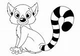 Madagascar Lemur Coloring Page Pages sketch template