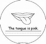 Taming The Tongue Page Coloring Pages sketch template