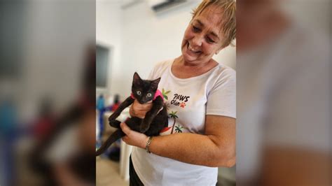 Maritime vets help animals in Ecuador | CTV News