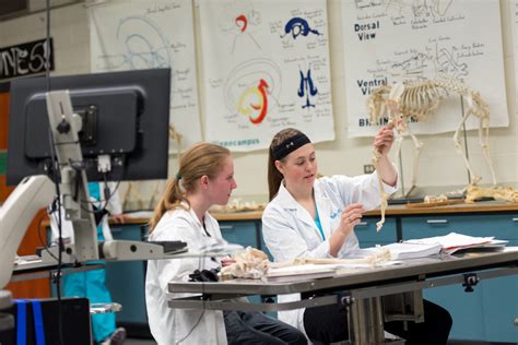 Undergraduate Programs – College of Veterinary Medicine & Biomedical Sciences