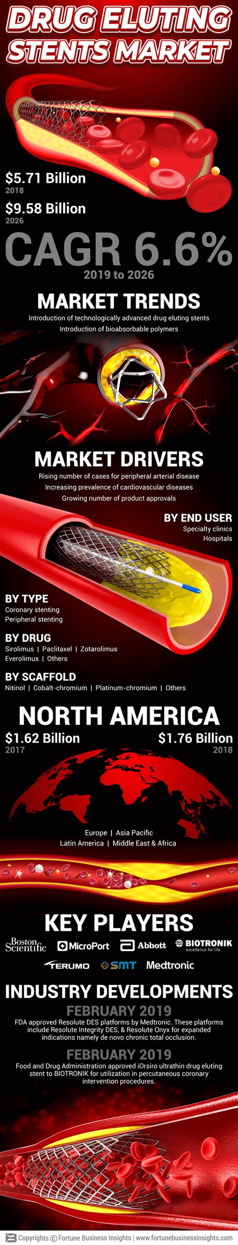 Infographics - Drug Eluting Stent (DES) Market