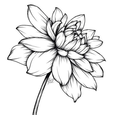 110 ideas de Flores, plantas y hojas | disenos de unas, dibujos de flores, bocetos de flores