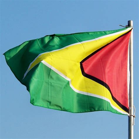 Graafix!: Flag of Guyana