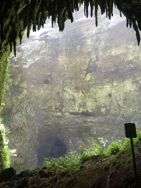 Camuy Caves, Camuy Puerto Rico | Camuy, Natural landmarks, Puerto