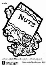 Nut Peanut Coloring Line Clipart Drawing Peanuts Nuts Clip  sketch template