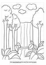 Free Amazon Rainforest Coloring Pages sketch template