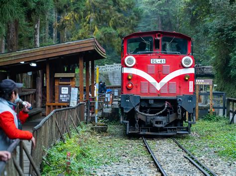 Alishan National Forest Recreation Area - Get Me To Taiwan