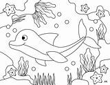 Dolphin Coloring Pages & Templates  28 FREE Printabulls sketch template