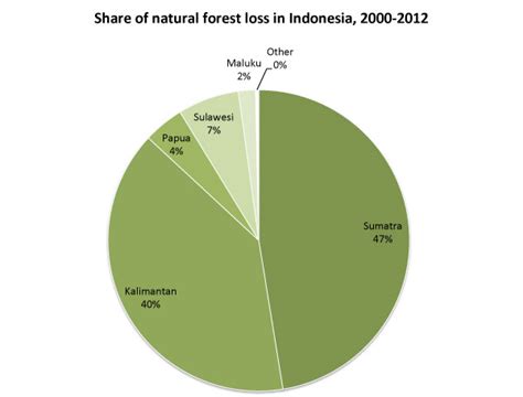 Despite moratorium, Indonesia now has world's highest deforestation rate