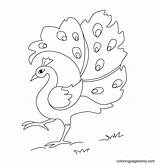 50 Peacock Coloring Pages  Free & Printable For Kids And Adults sketch template