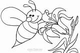 Printable Bumble Bee Coloring Pages For Kids sketch template