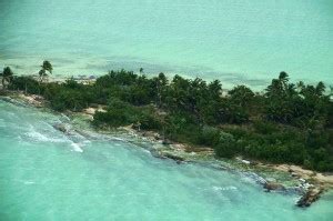 Leonardo DiCaprio unveils plans for Blackadore Caye: a Restorative Island - The San Pedro Sun