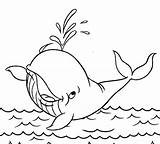 Funny Whale Spraying Water Coloring Page  Free Printable sketch template