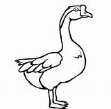 Baby Goose Coloring Page Adorable Designs For Your Little Ones To Color sketch template