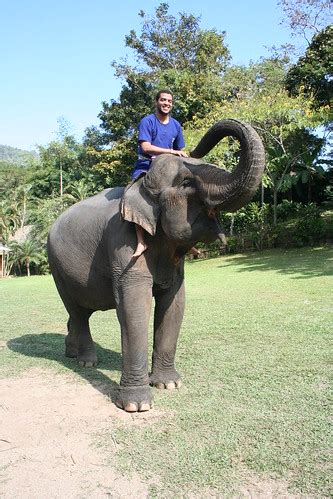 riding elephants | maesa elephant camp chiang mai, thailand | Visnu Pitiyanuvath | Flickr