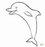 Dolphin Coloring Pages For Girls sketch template