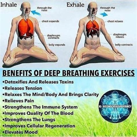 Deep Breathing Yoga Exercises | Yoga breathing techniques, Yoga ...