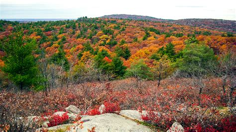 Blue Hills Reservation | The Cultural Landscape Foundation