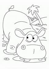 Coloring Pages  Printable Hippo sketch template