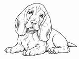 Fun Filled Basset Hound Coloring  Page sketch template