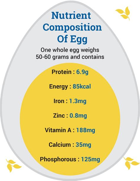 Health Benefits of Egg for Children, Nutritional Value and Facts of Egg, Importance of Egg in ...