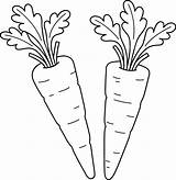 Carrots Vegetable Isolated Coloring Page For Kids Vector  sketch template