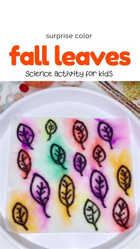 Fall Leaves Science Experiment for Kids | Science crafts, Fall science ...