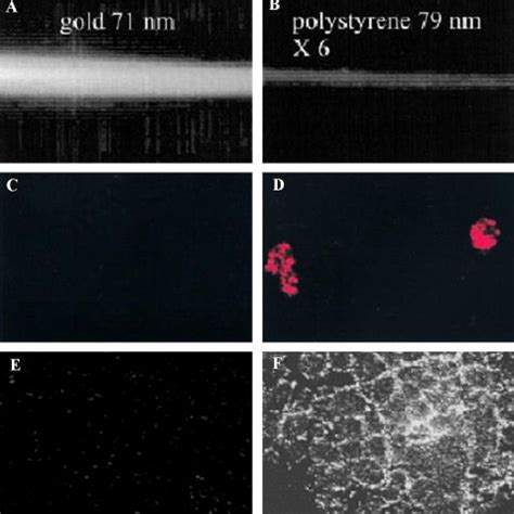 (PDF) Gold nanoparticles: Optical properties and implementations in ...